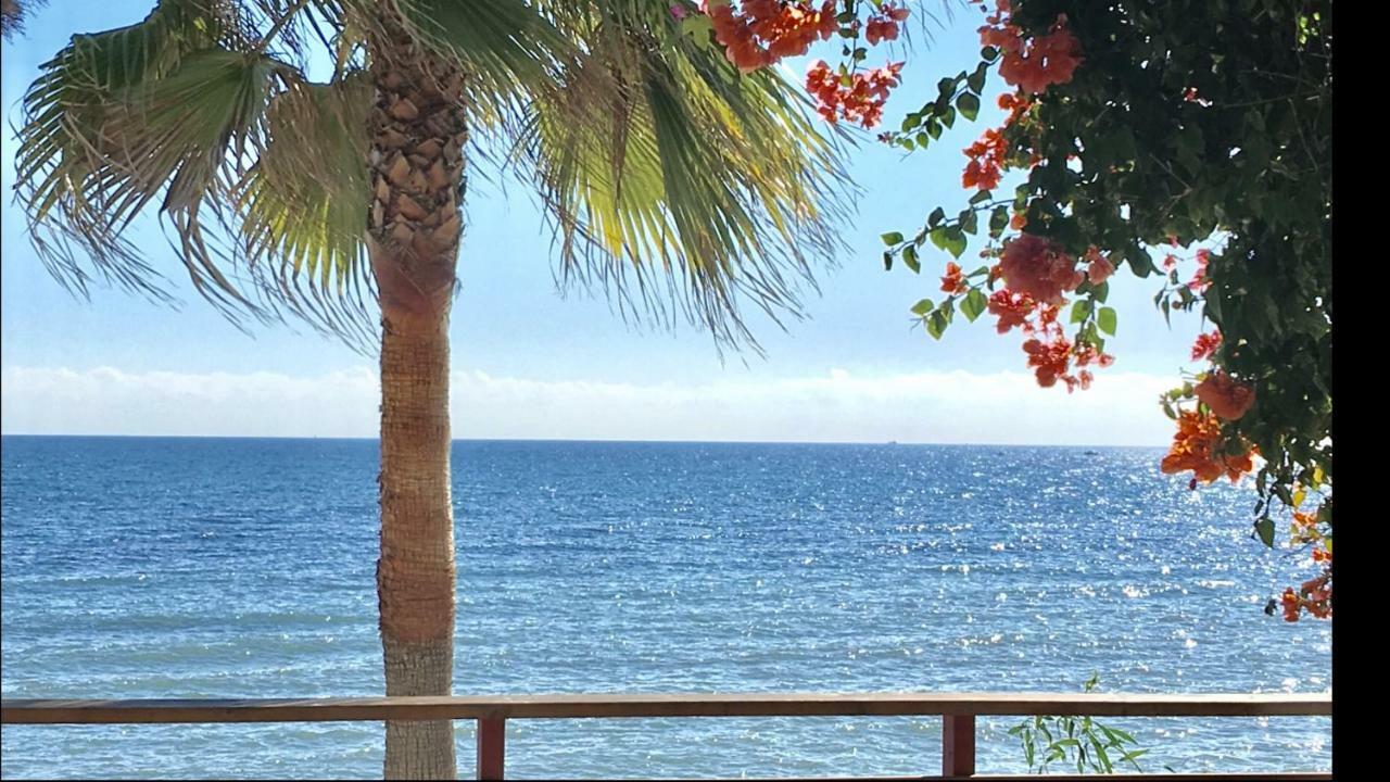 Mi Capricho Beachfront- P301 Apartment With Sea View Sitio de Calahonda Exteriör bild